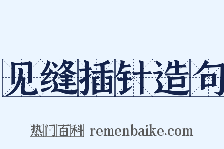 见缝插针造句是什么意思的图片